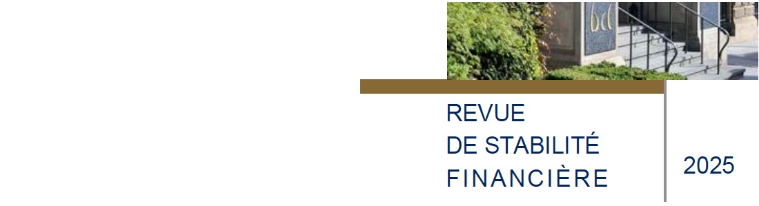 banner revue 25
